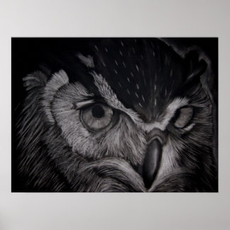 Wise Eyes Poster