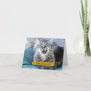 Wise Guy Cat Thank You Card