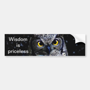 Wise old Owl and stars Bumper Sticker