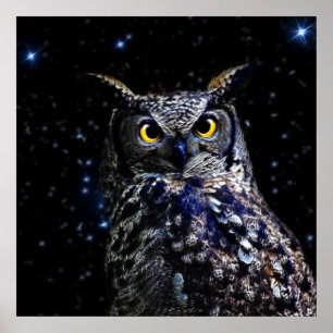 Wise old Owl and stars Poster
