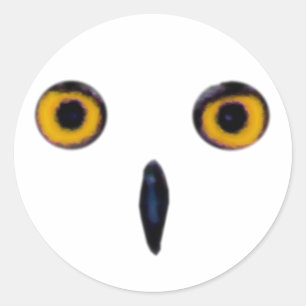 Wise Old Owl Eyes Classic Round Sticker
