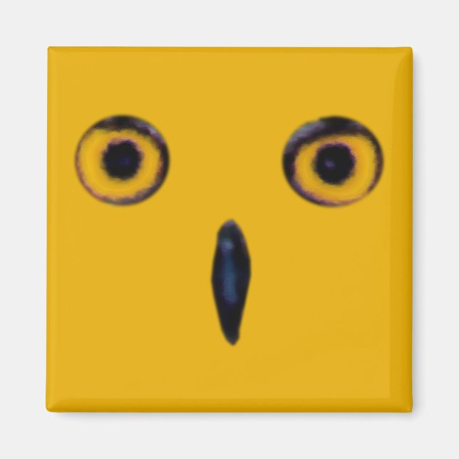 Wise Old Owl Eyes Magnet (Front)