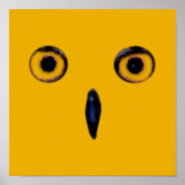 Wise Old Owl Eyes Poster (Front)