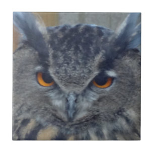 Wise One Tile