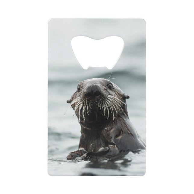 Wise Otter (Front)