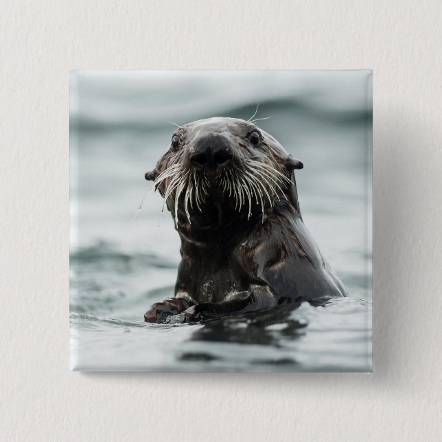 Wise Otter 15 Cm Square Badge (Front)