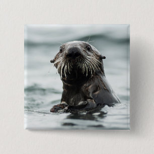 Wise Otter 15 Cm Square Badge