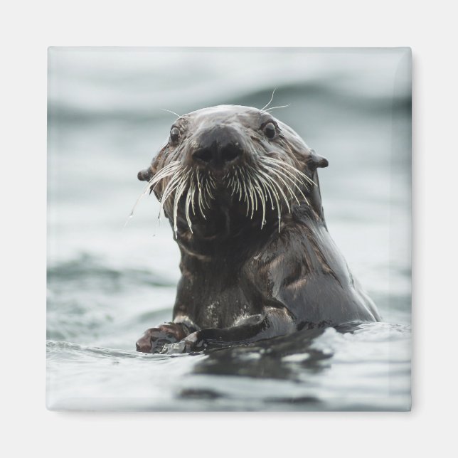 Wise Otter Magnet (Front)
