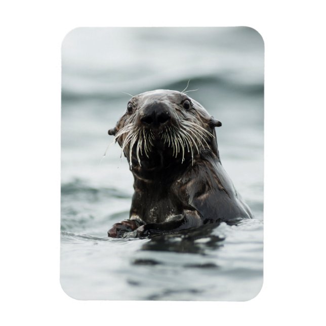 Wise Otter Magnet (Vertical)