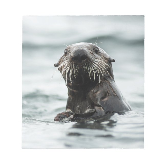 Wise Otter Notepad (Front)