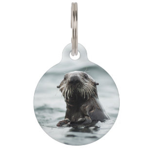 Wise Otter Pet Tag