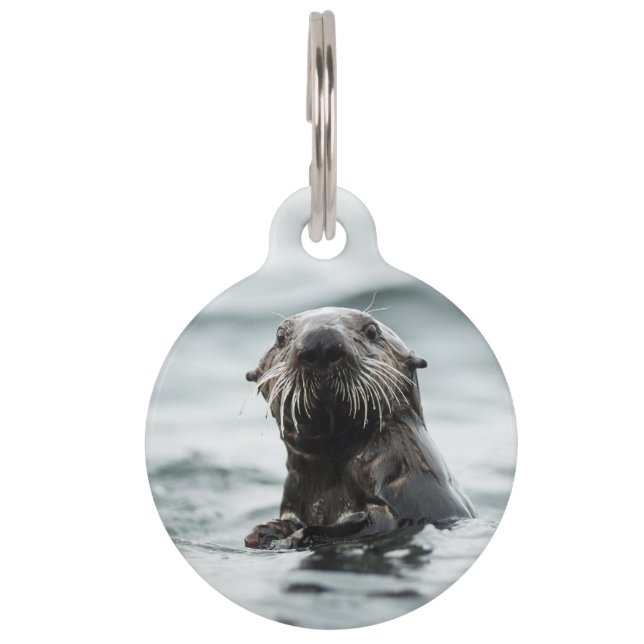 Wise Otter Pet Tag (Front)