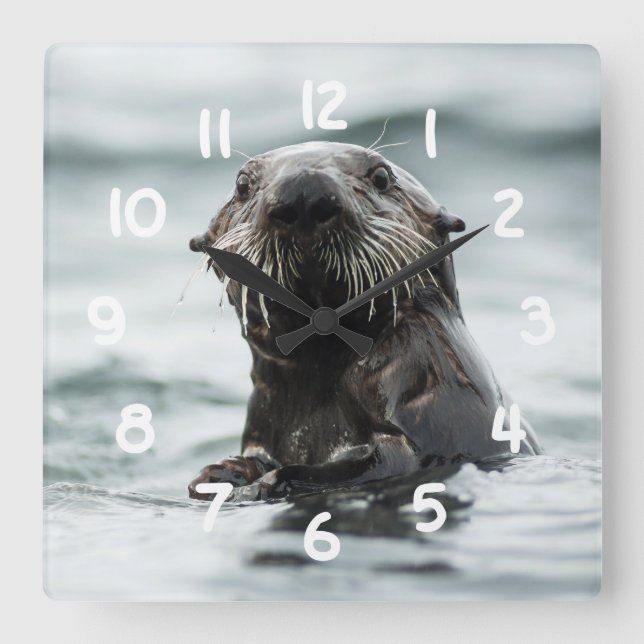 Wise Otter Square Wall Clock (Front)