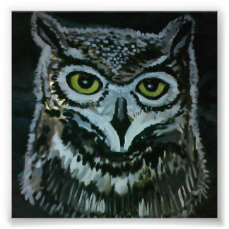 Wise Owl Photo Print