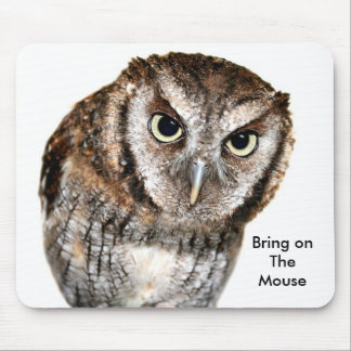 Wise Owl waiting for Mouse fun Pad