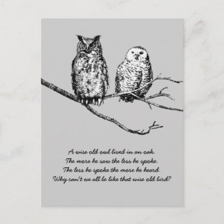 Wise Owl Wisdom Postcard