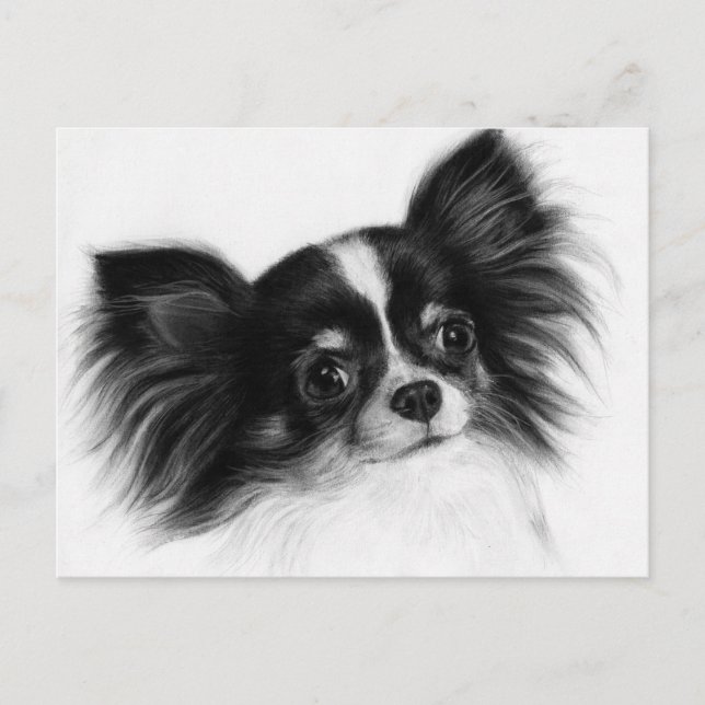 Wise Soul - Hand Painted Senior Chihuahua Portrait Postcard (Front)