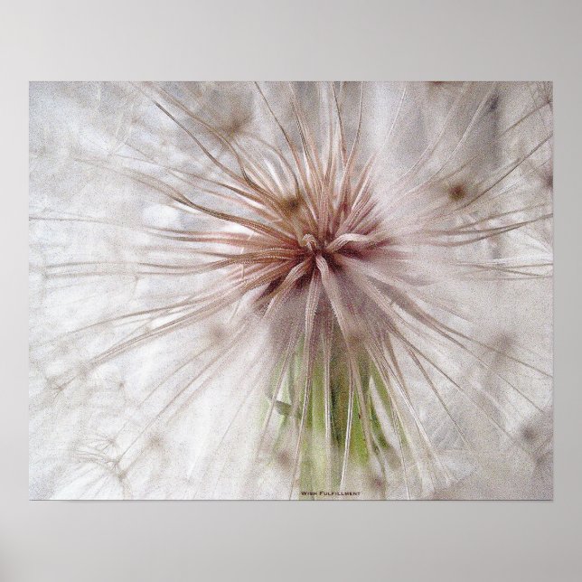 Wish Fulfilment Poster (Front)