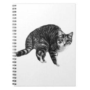Wish-List Tabby Pages Notebook