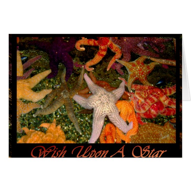 Wish Upon A Star Cards (Front Horizontal)