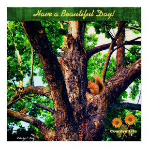 Wish You a Beautiful Day -- Tree - Country Life Poster