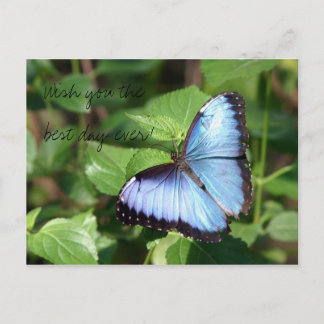 Wish you the best day ever! postcard