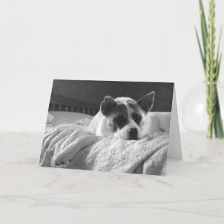 Wish you were here. card