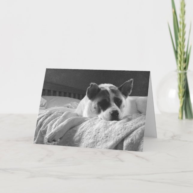 Wish you were here. card (Front)