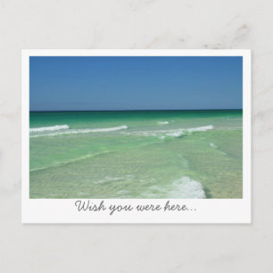 Wish You Were Here Florida Gulf Coast White border Postcard