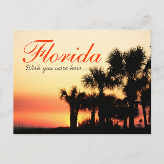 Wish you were here - Florida palm tree sunset Postcard