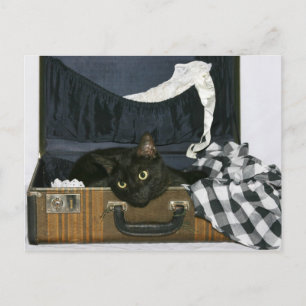 Wish you were here postcard