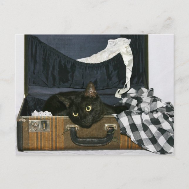 Wish you were here postcard (Front)