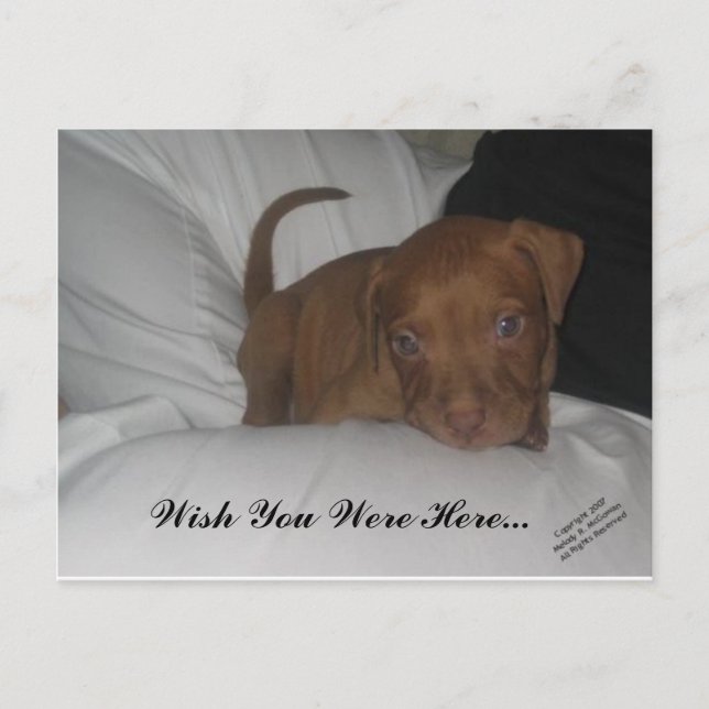 Wish You Were Here... Postcard (Front)