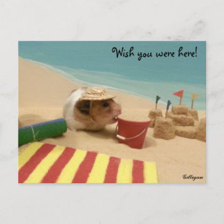 Wish you were here! postcard
