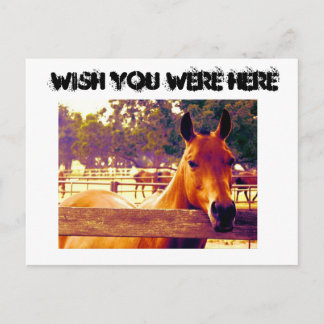 Wish You Were Here Postcard