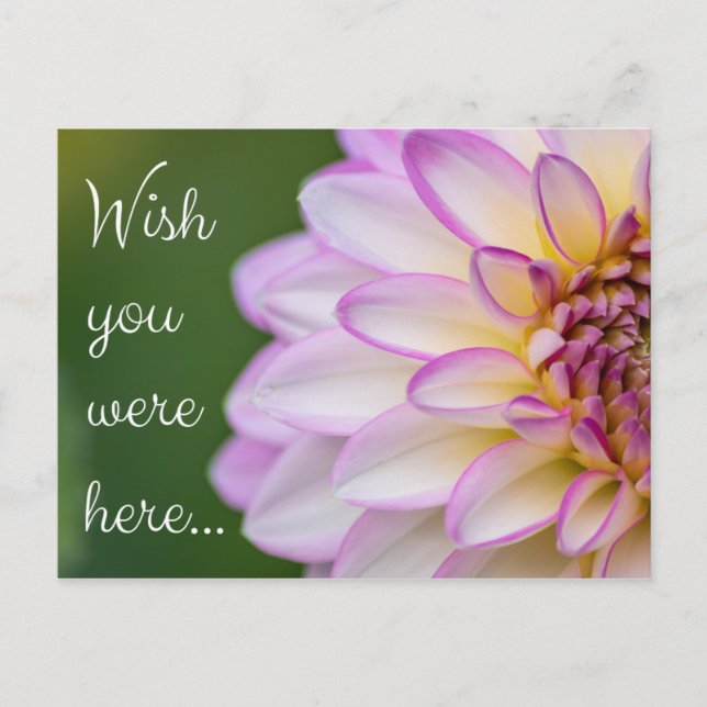 Wish you were here... postcard (Front)