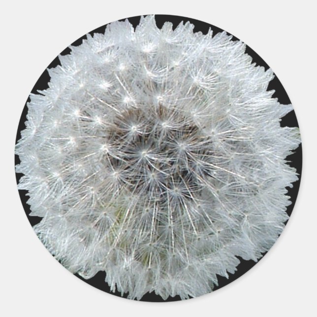 Wishes are Dandy Classic Round Sticker (Front)