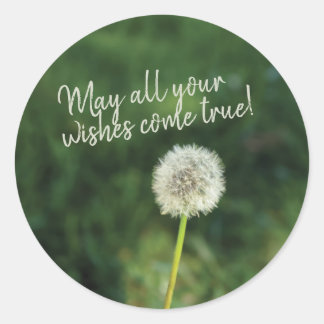 Wishes Come True Dandelion  Classic Round Sticker