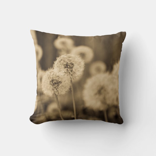 Wishes Cushion (Front)