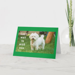 **WISHES FOR THE BEST BIRTHDAY EVER** CARD