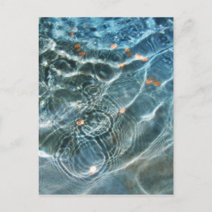 Wishing Fountain Postcard