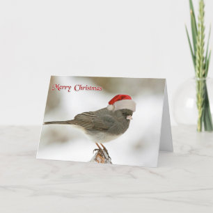 Wishing Happy Holiday Christmas Bird Santa Hat Card
