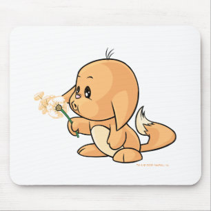 Wishing orange Kacheek Mouse Pad