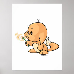 Wishing orange Kacheek Poster
