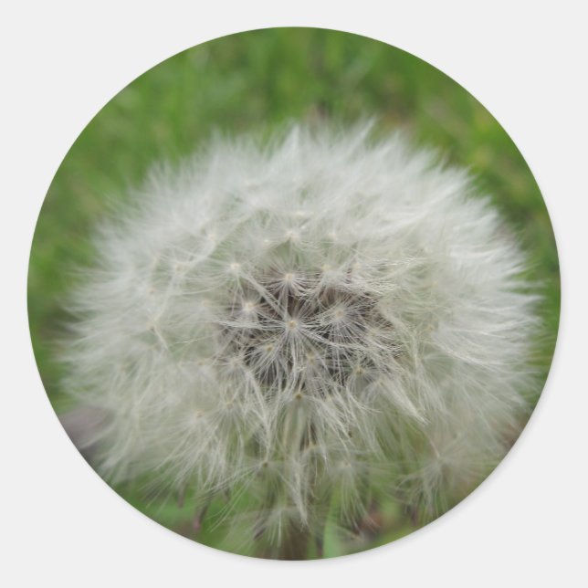 wishing sticker (Front)