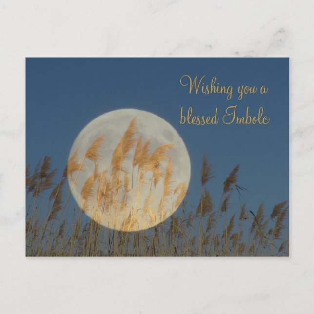 Wishing you a blessed Imbolc Postcard (Front)