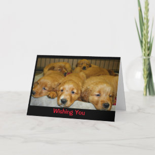 Wishing You A Dog-Gone Merry Christmas! Card