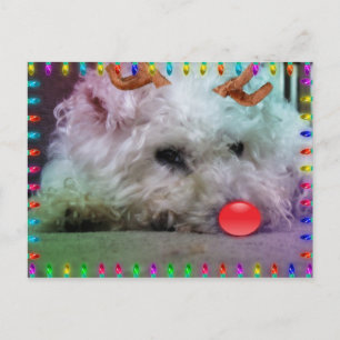 WISHING YOU A MERRY XMAS HOLIDAY POSTCARD