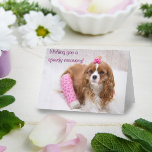 Wishing You A Speedy Recovery Spaniel Card