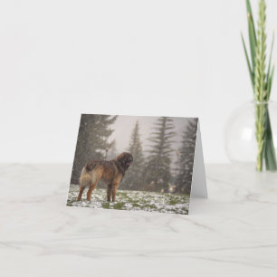 Wishing you Peace Thank You Card